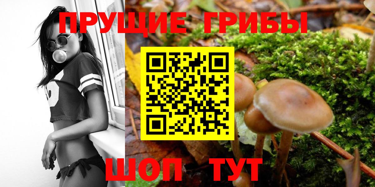 Псилоцибиновые грибы мицелий  Псилоцибиновые грибы мухоморы  Вход с VPN  Лесосибирск 